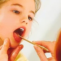 ������� ������ ��������� ��������