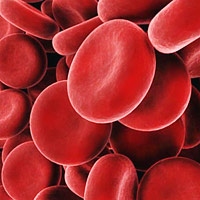 ��� �������� ����������