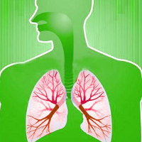 �������� ������� ��������